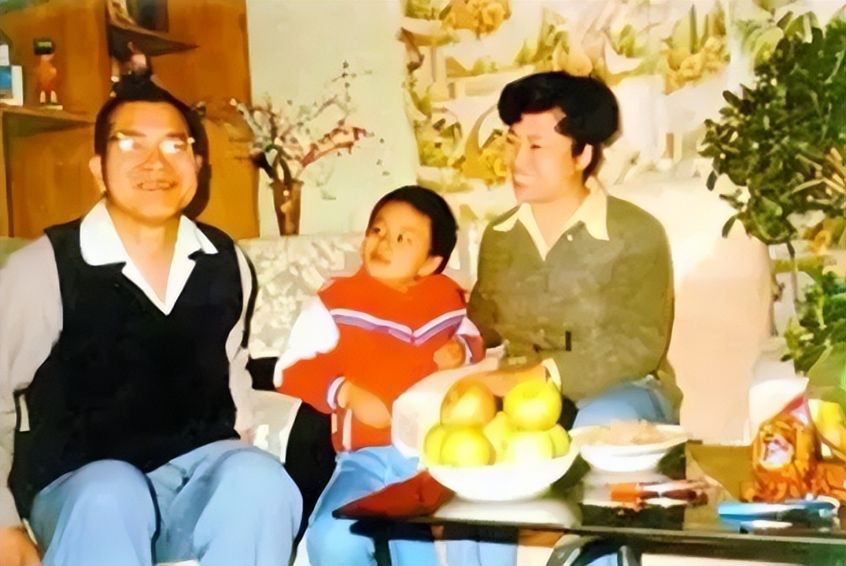 陈景润去世后由昆再婚没有,数学家陈景润怎么去世的