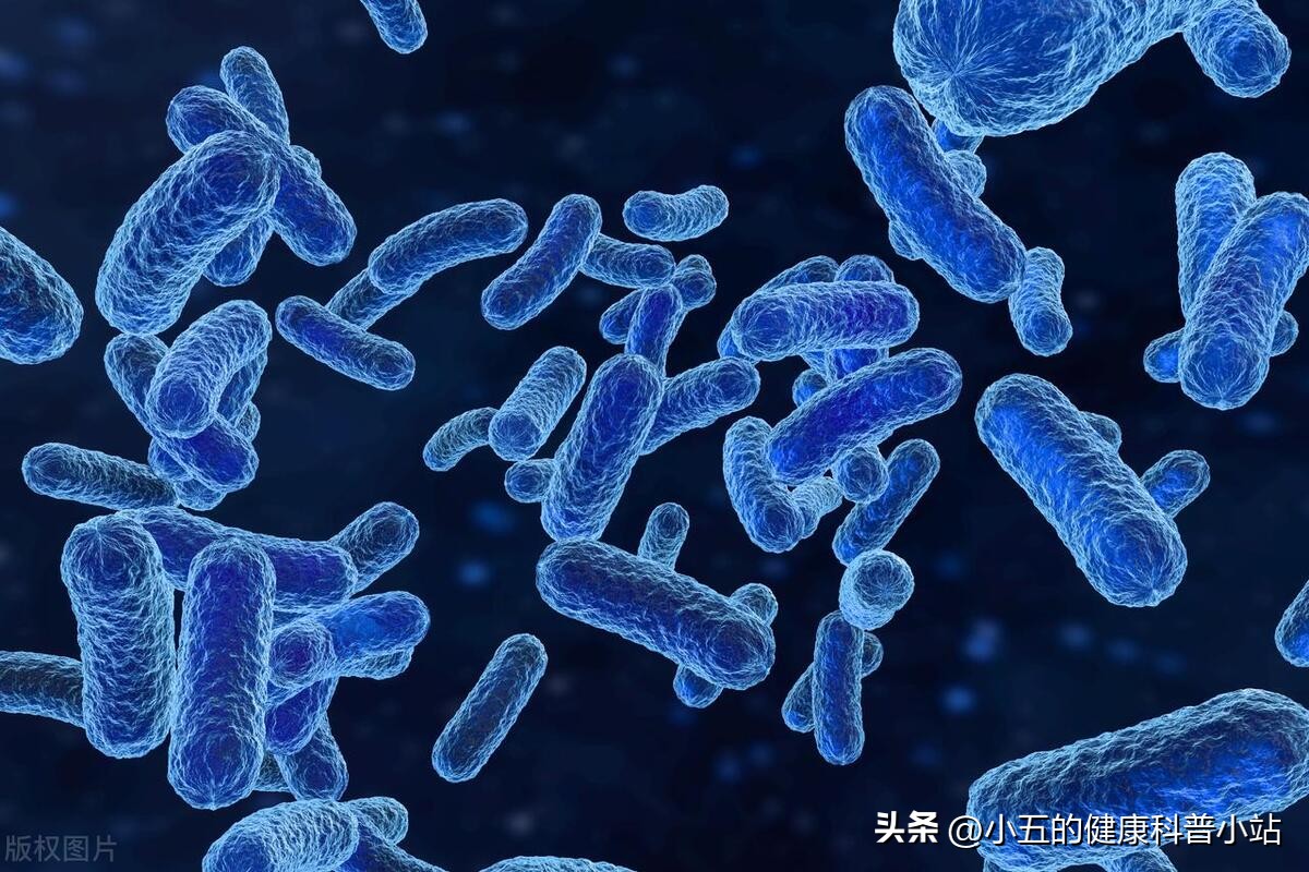 阿奇霉素对支原体感染有好处吗,支原体感染阿奇霉素作用和功效