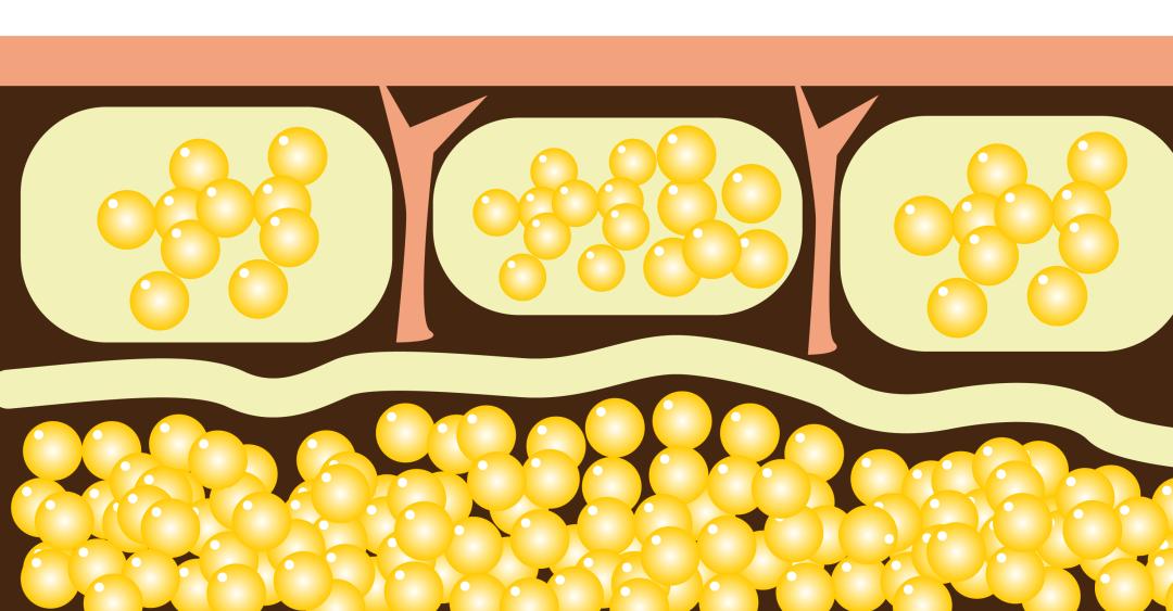 食用油应该怎么吃更健康呢,8种食用油怎样吃最健康