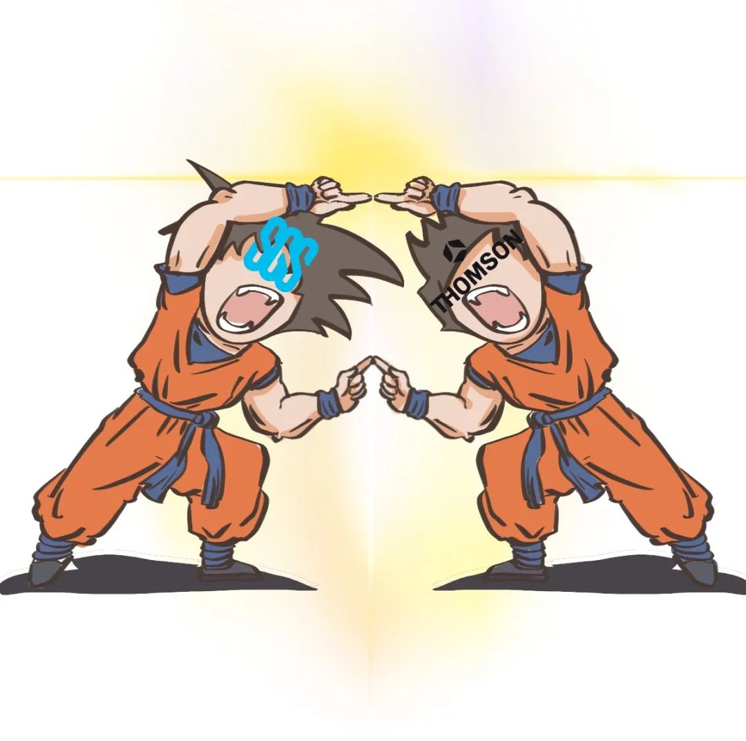 意法半导体做什么芯片的,欧洲芯片三雄