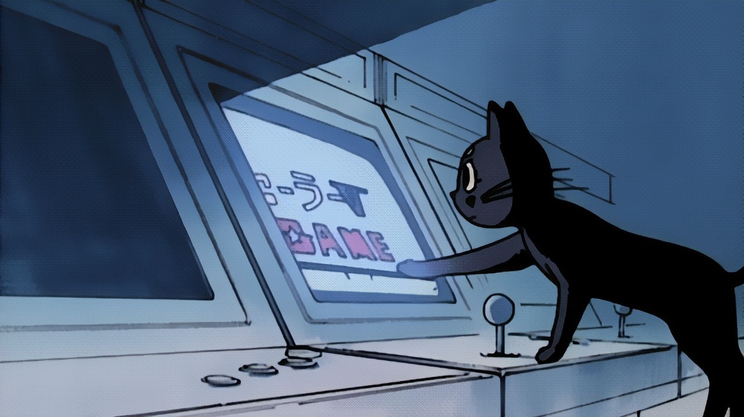 电脑的域名和ip地址在哪里看,域名服务器地址和ip地址的区别