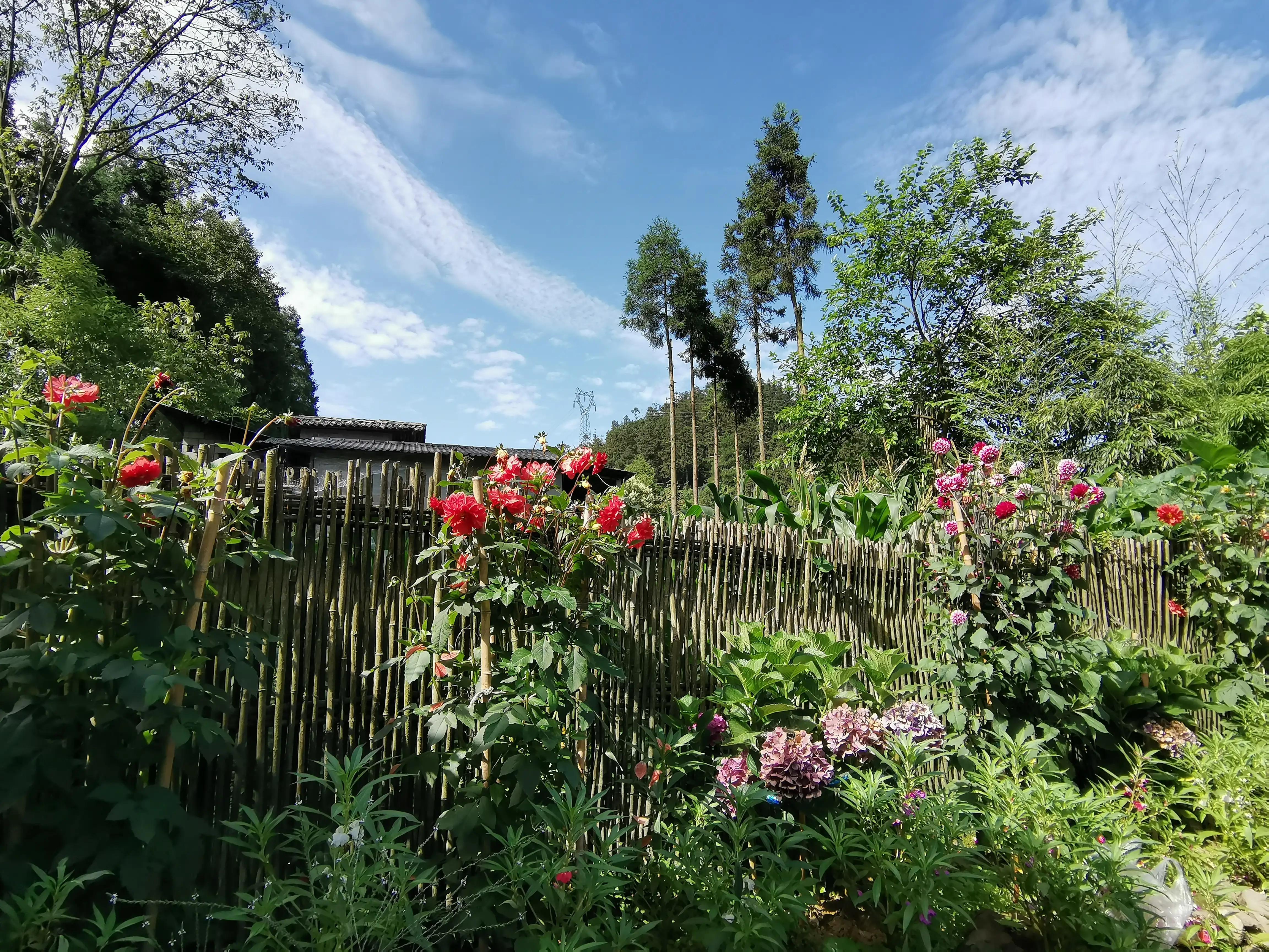 去贵州桐梓避暑哪里最好,桐梓包吃住避暑民宿