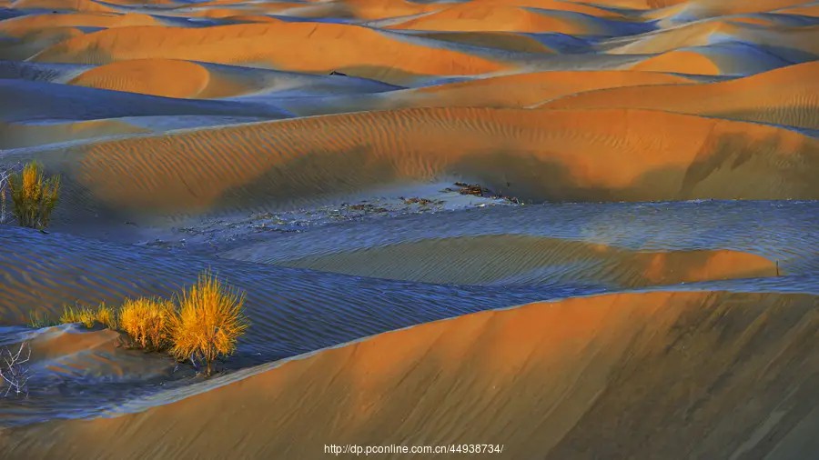 沙漠变绿洲对地球有什么影响,沙漠变绿洲这属于什么现象