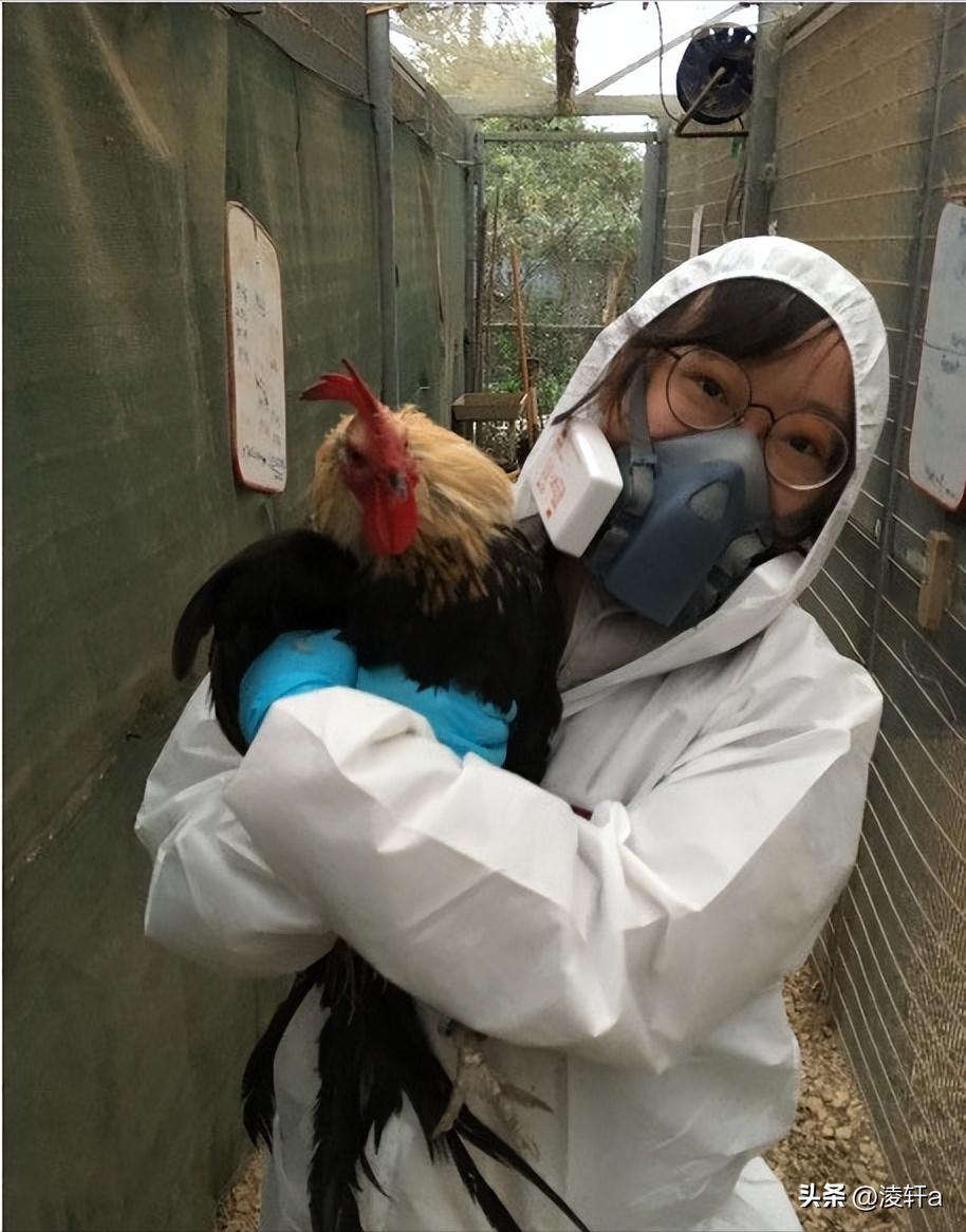 研究100种动物“*生活性**”后，牛津女博士发现人类与动物大同小异