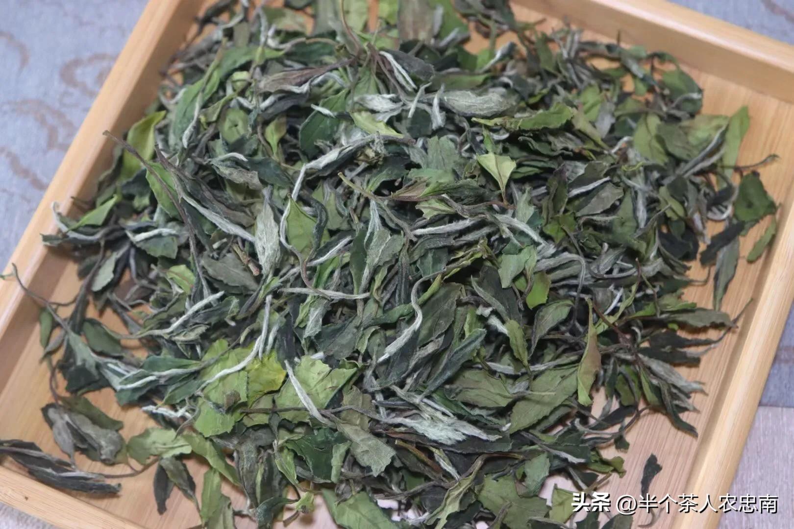 侬茶|喝茶一定要喝老枞岩茶、古树普洱茶吗？高价茶不一定合适你
