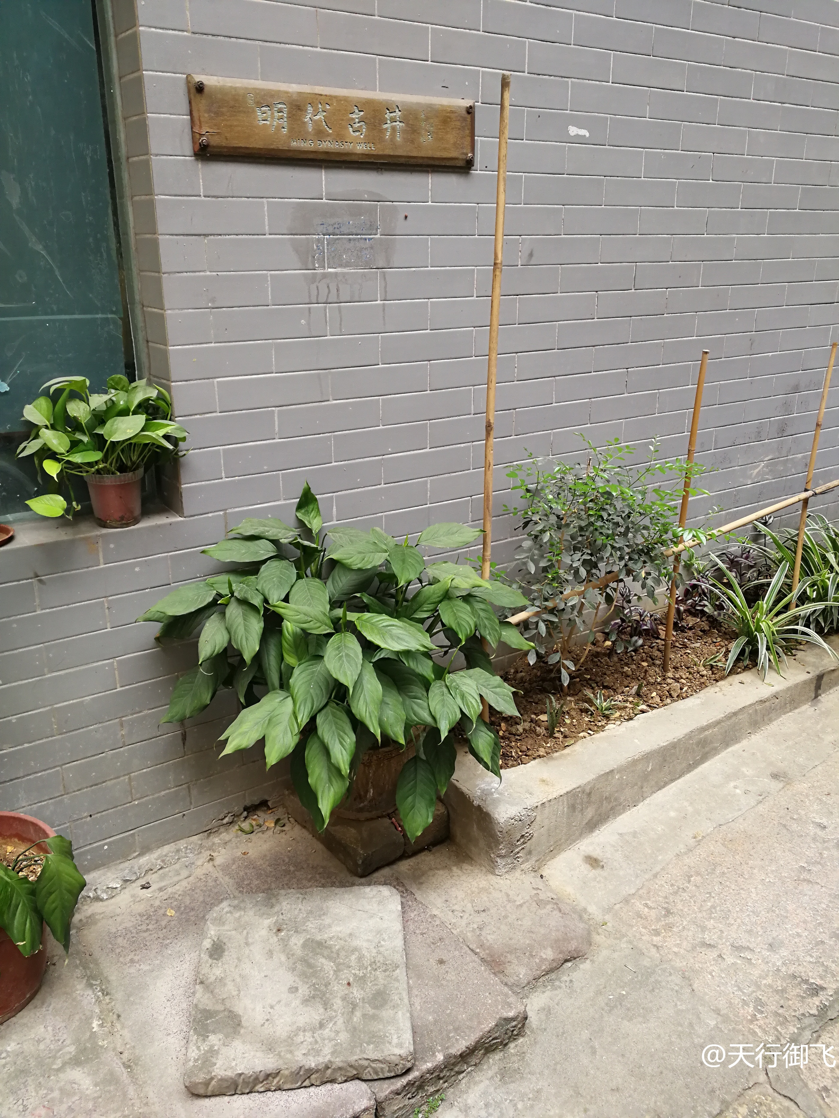 小洲村旅游景点地图,小洲村一日游最佳攻略