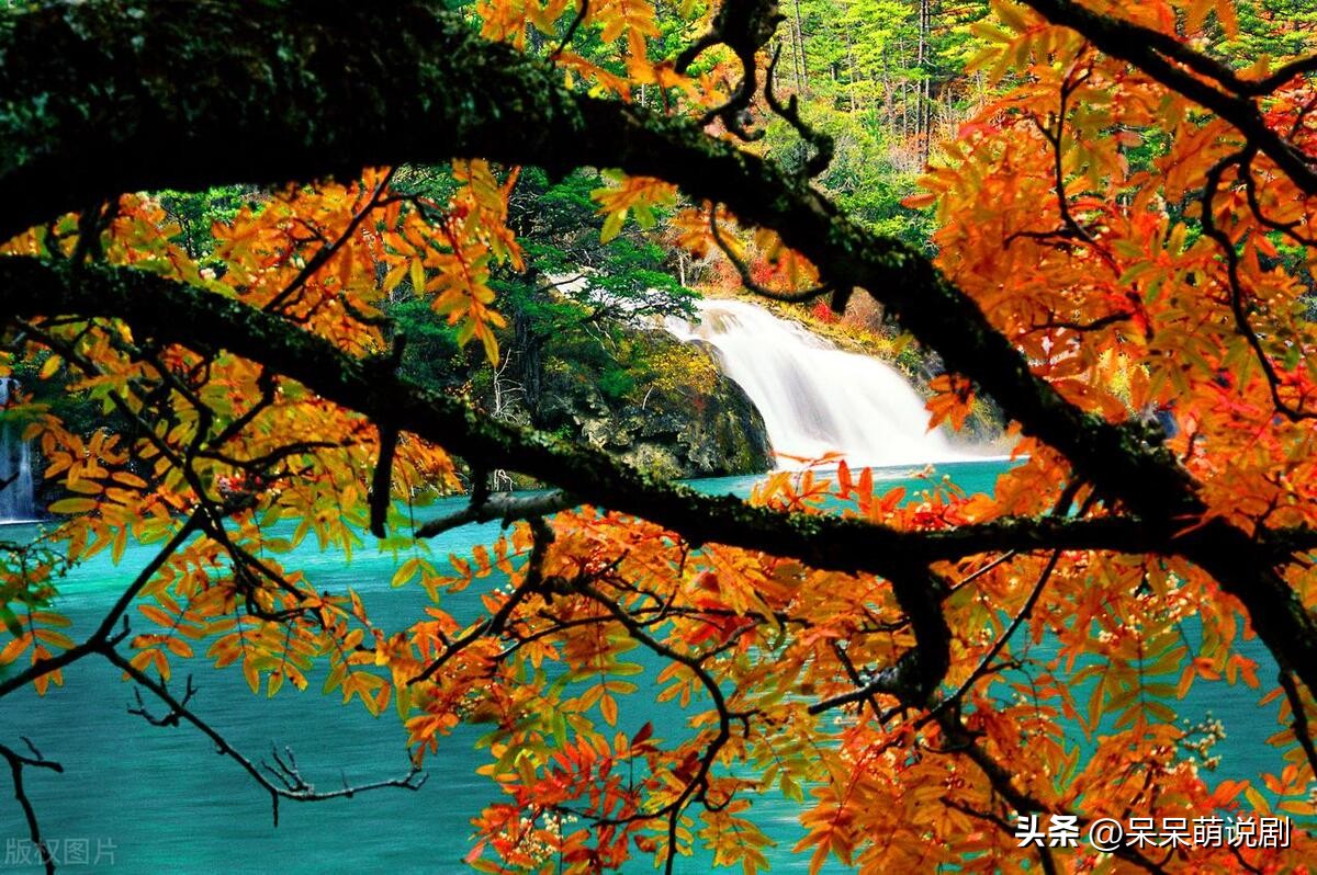 每个月去哪里旅游最合适,每个月去哪旅游比较好