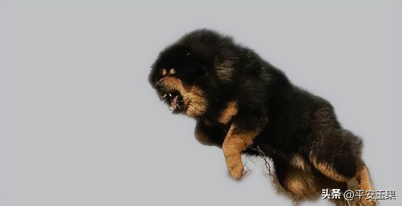 一次摄影之旅,一次拍摄失误的后果