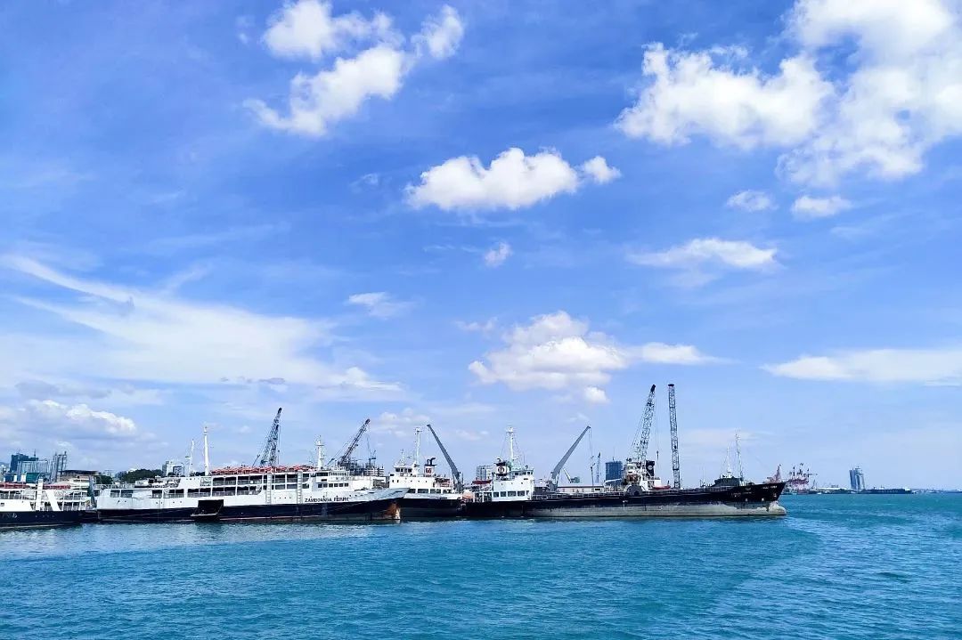 2024年国内干散货航运业会暴涨吗,国际干散货航运最新消息