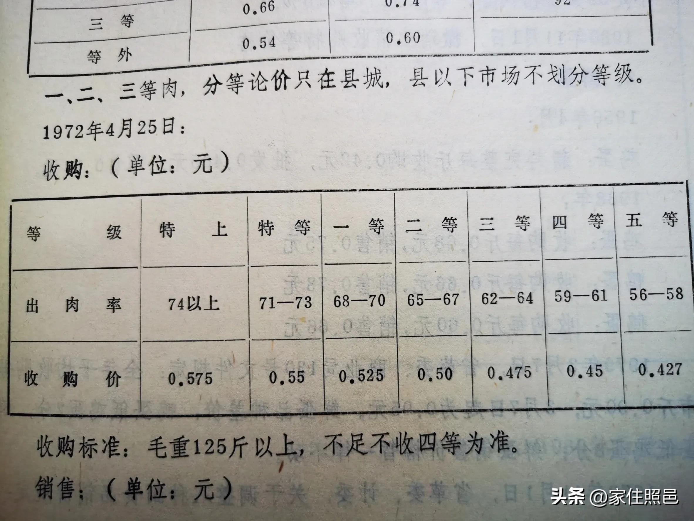 日照有什么好玩的地方,日照绿茶价格表