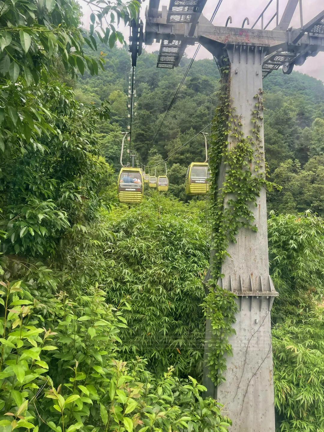 贵州贵阳黔灵山攻略,贵州黔灵山附近旅游攻略