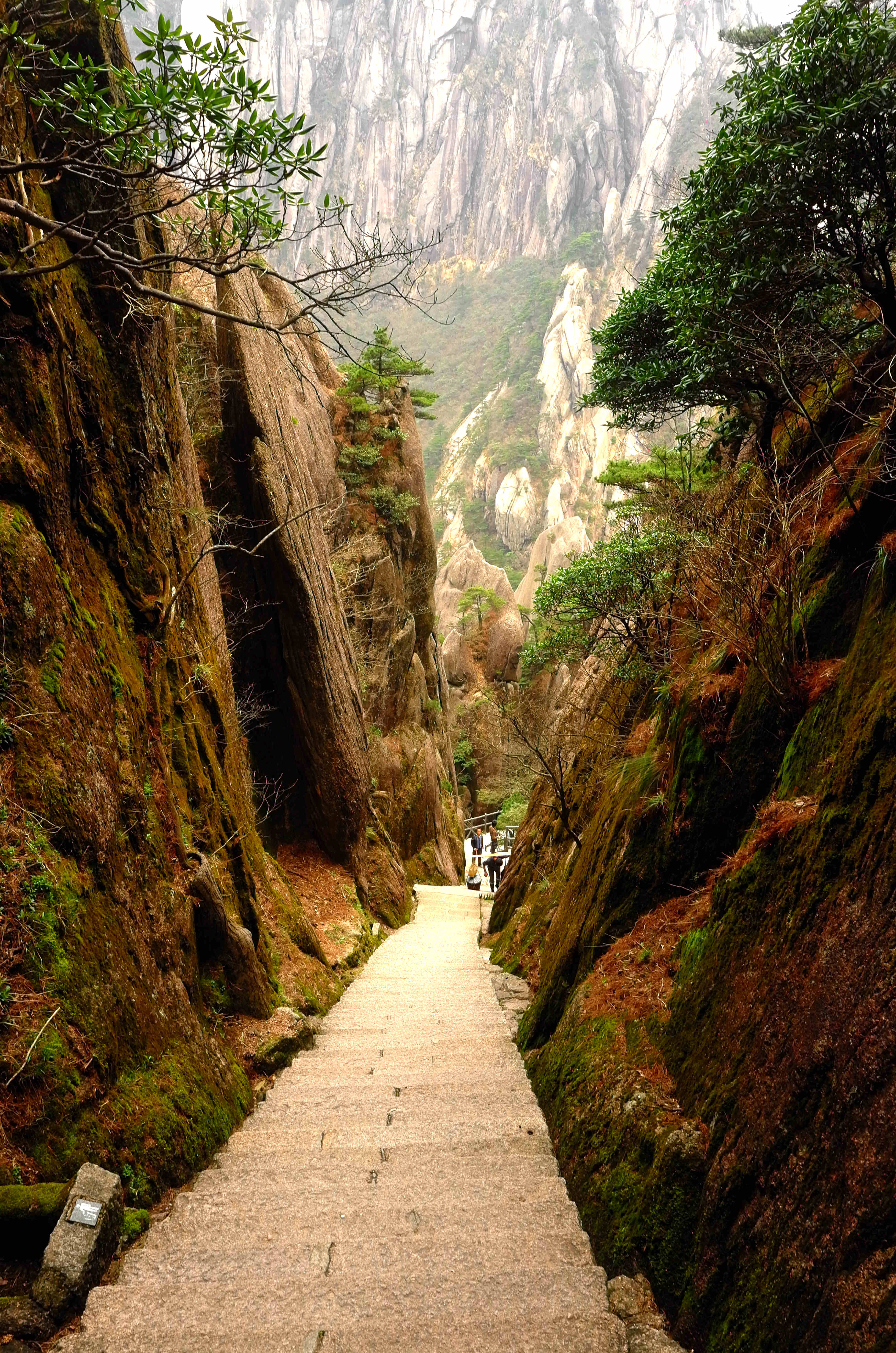 黄山天都峰会走鲫鱼背吗,黄山天都峰鲫鱼背第一视角