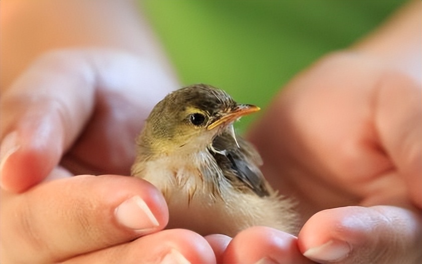 市场营销手段13种手段,市场营销及成功案例