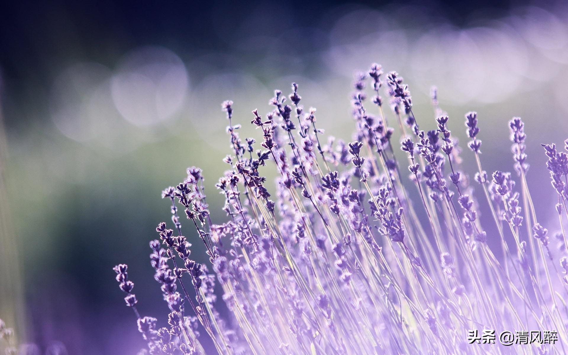 快手评论的励志短句,快手简单又吸引人封面句子