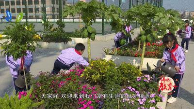 深圳最有科技感的学校,十分有科技感的学校