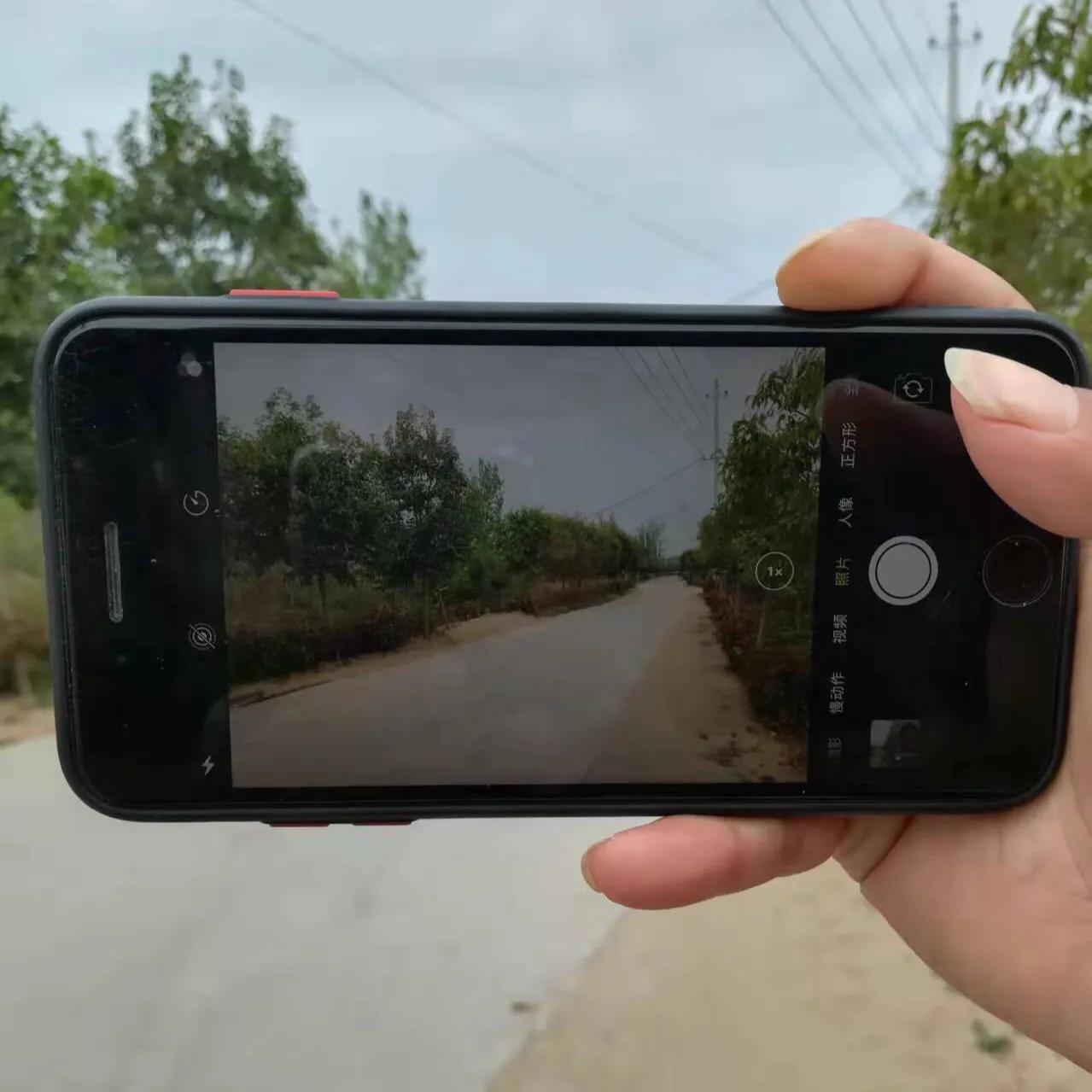 拍美食发西瓜视频挣钱吗,拍西瓜视频挣钱