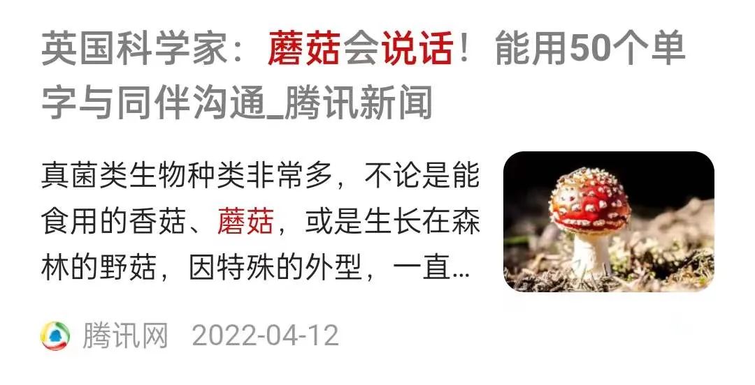 除了尺度太大,这片基本没毛病