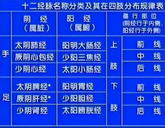 针灸经络速记手册,针灸入门系列合集
