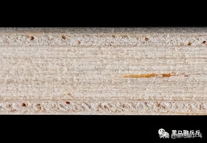 每周乒器观察134：岸度新粘套C48和C53，骄猛36.5ALXi