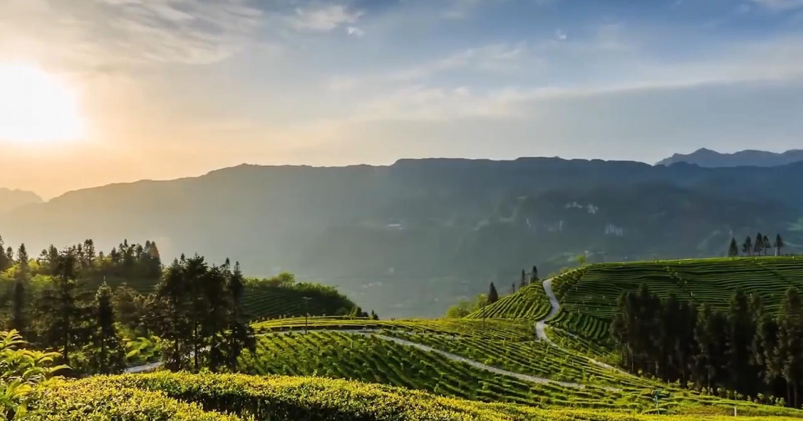 中国双重内陆省份有哪些？远离边境和大海，是如何发展经济的？