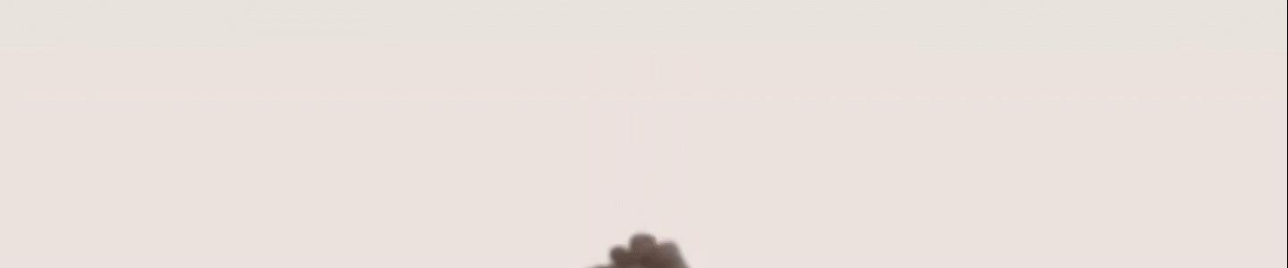 九球天后潘晓婷为何至今单身,九球冠军潘晓婷有几任丈夫