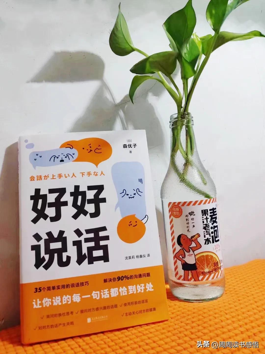 不会说话的人应该读的书,让人大彻大悟的书籍