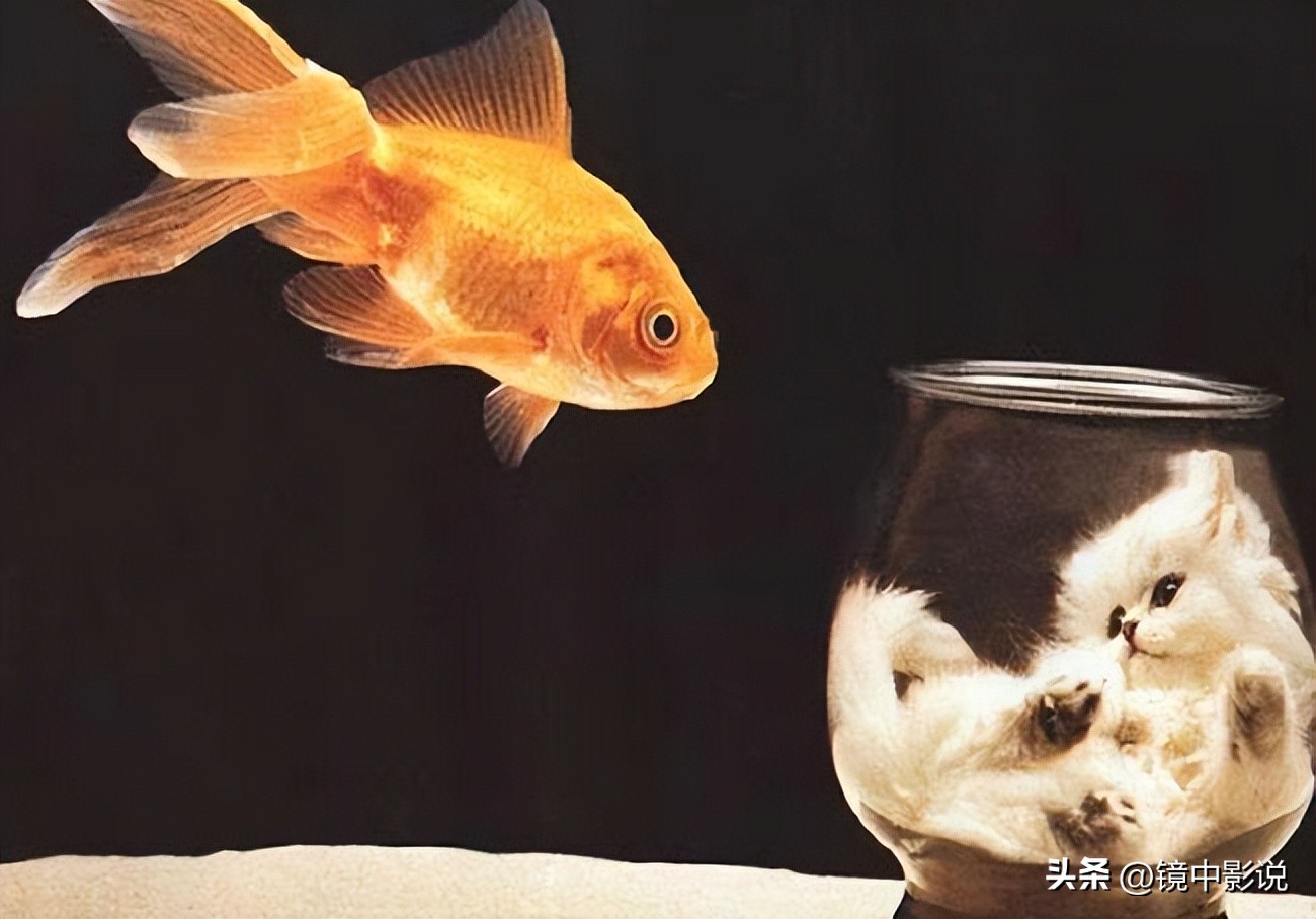 如何写好文档,怎么写文档