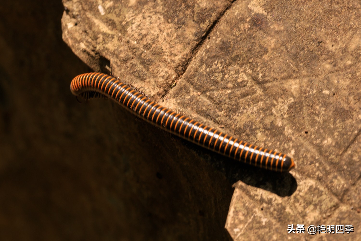 平谷老象峰风景区,北京平谷老象峰