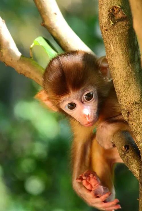 聊斋故事古镜幽魂,聊斋故事血案