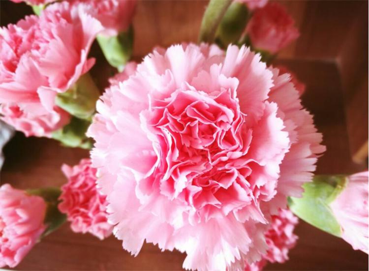 七十岁老人过生日送什么花合适,自己过生日送自己的花应该选哪种