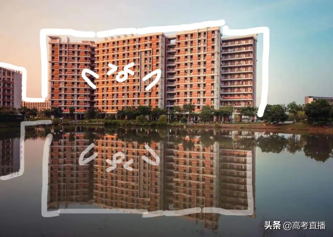 深职全国专科排名,2021广东公办专科学校排名