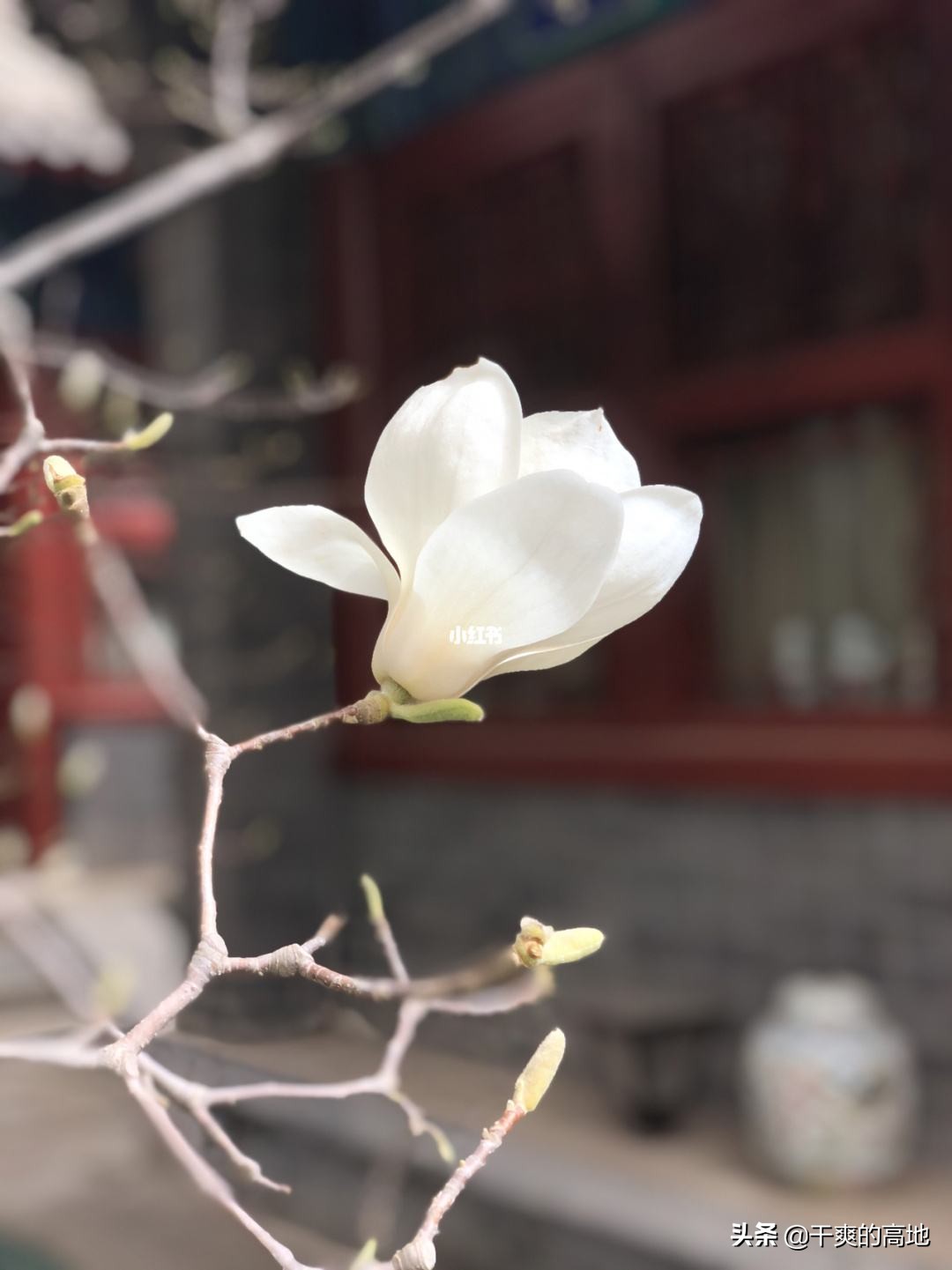 李朝全作家,李朝全演讲视频