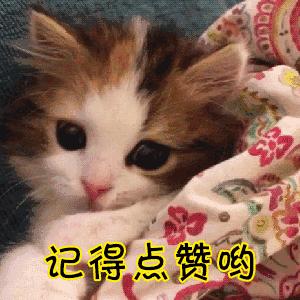 狗狗向你发出的8个求救信号,你知道狗狗有哪些求救信号吗