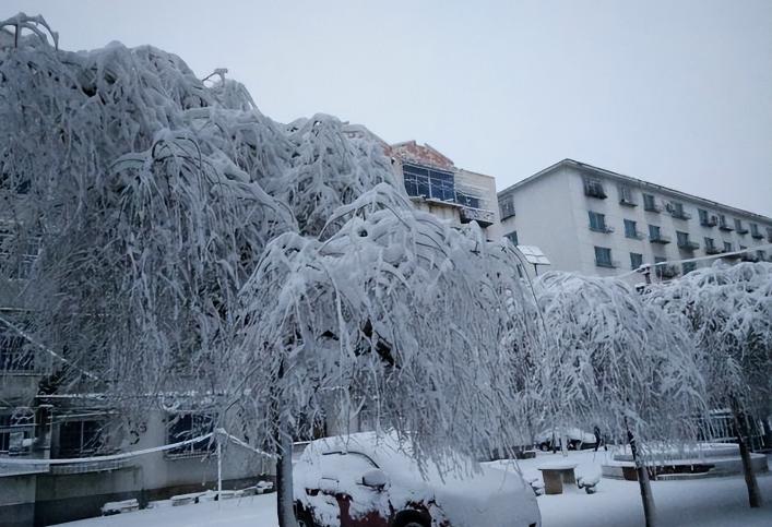 男子花20万买一条鲶鱼3年狂赚上亿,湖北小伙花20万买个鲶鱼