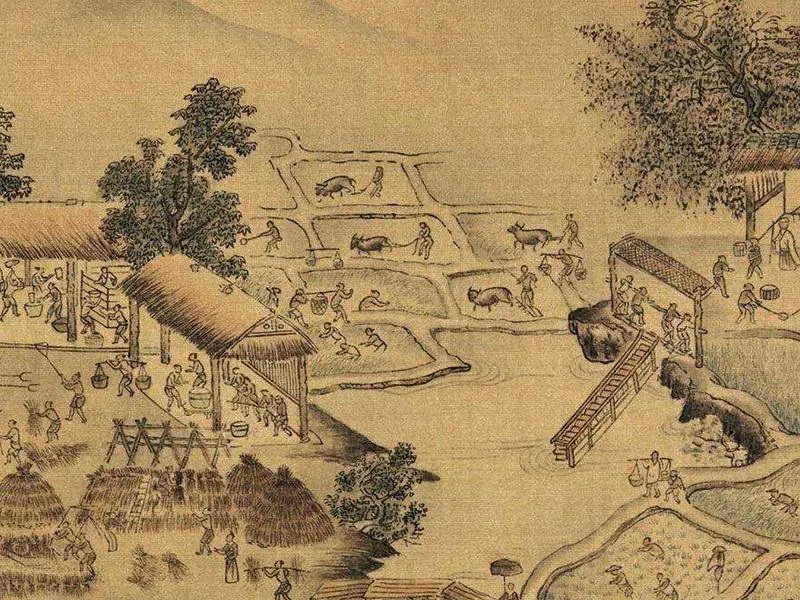 哪些农作物是从外国引进的,世界上有几种主要农作物