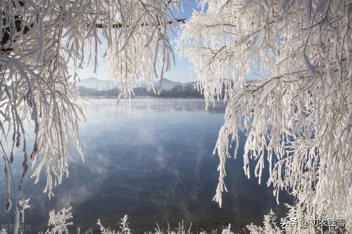 李白的哪首古诗最撩人,李白思乡的诗句经典