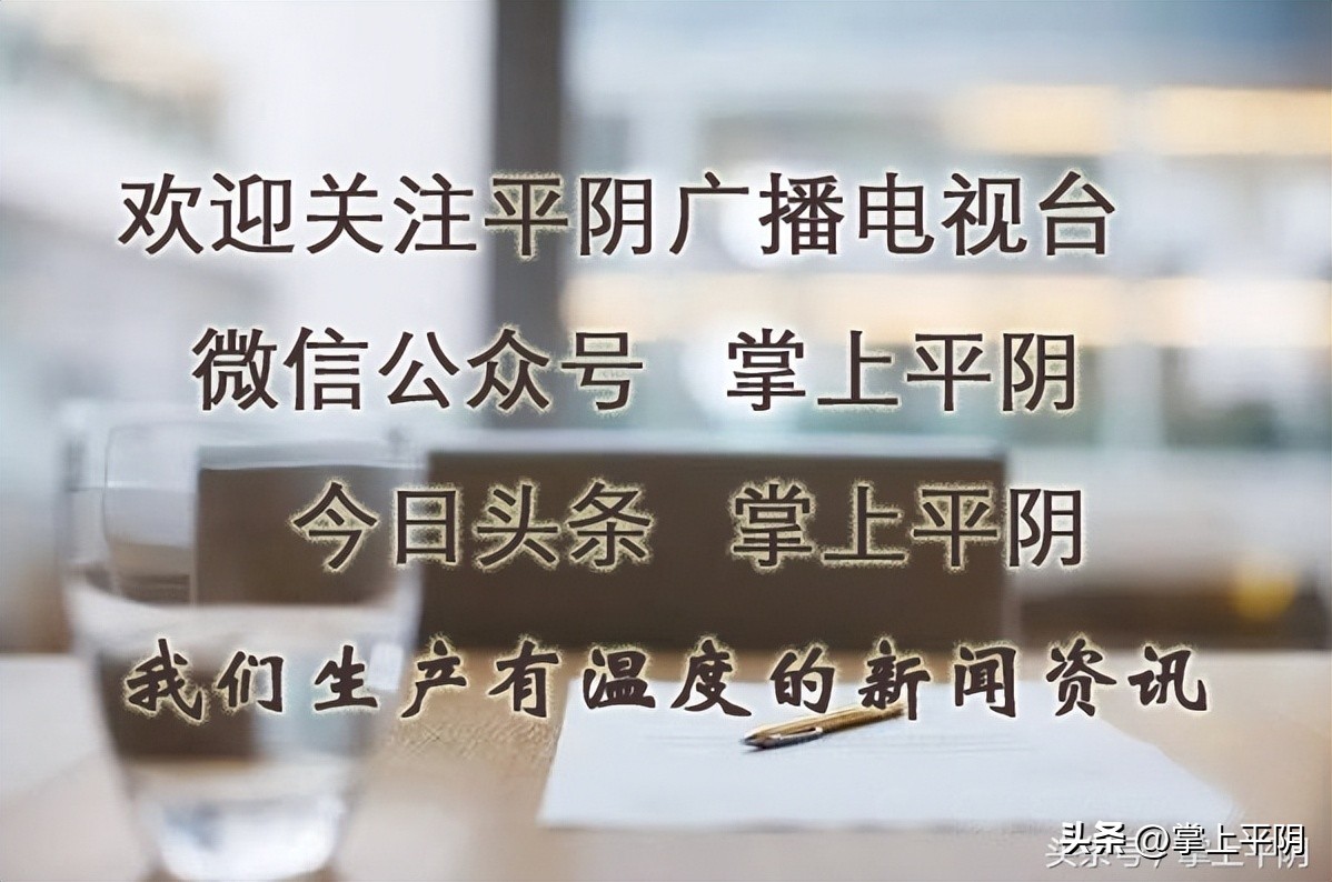 民营经济服务年丨玫瑰镇：“企业服务驿站”为民营经济发展添动能