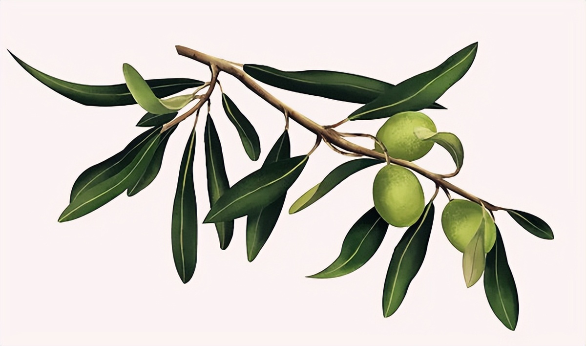 刘琨西晋,西晋刘进