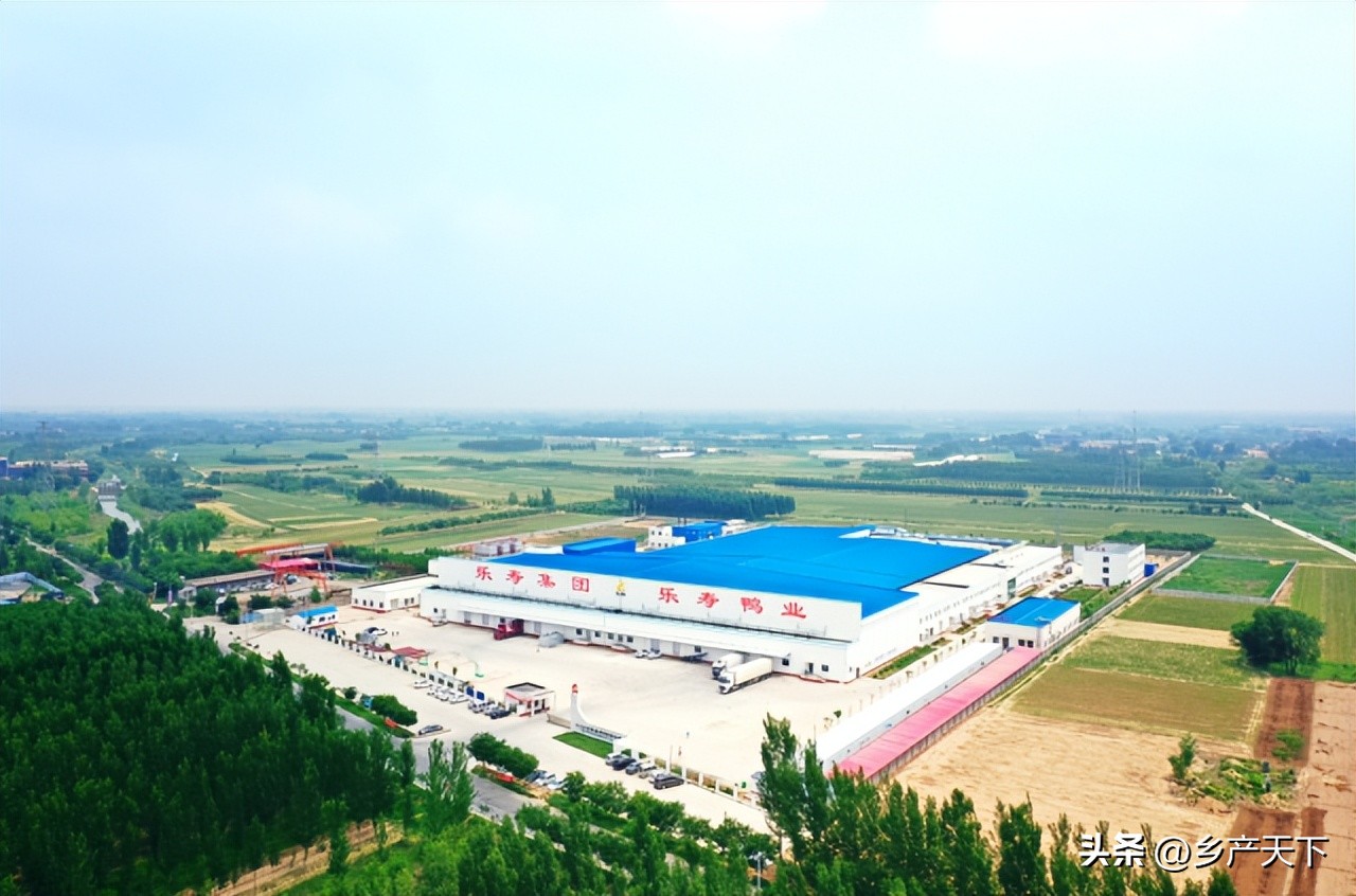 乐寿鸭业厂区,乐寿鸭业饲料