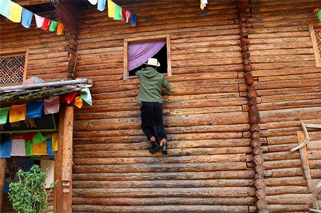女神纪——女性五万年的辉煌与悲歌