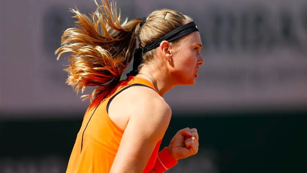 法网最新案件,法网最近发生的新闻