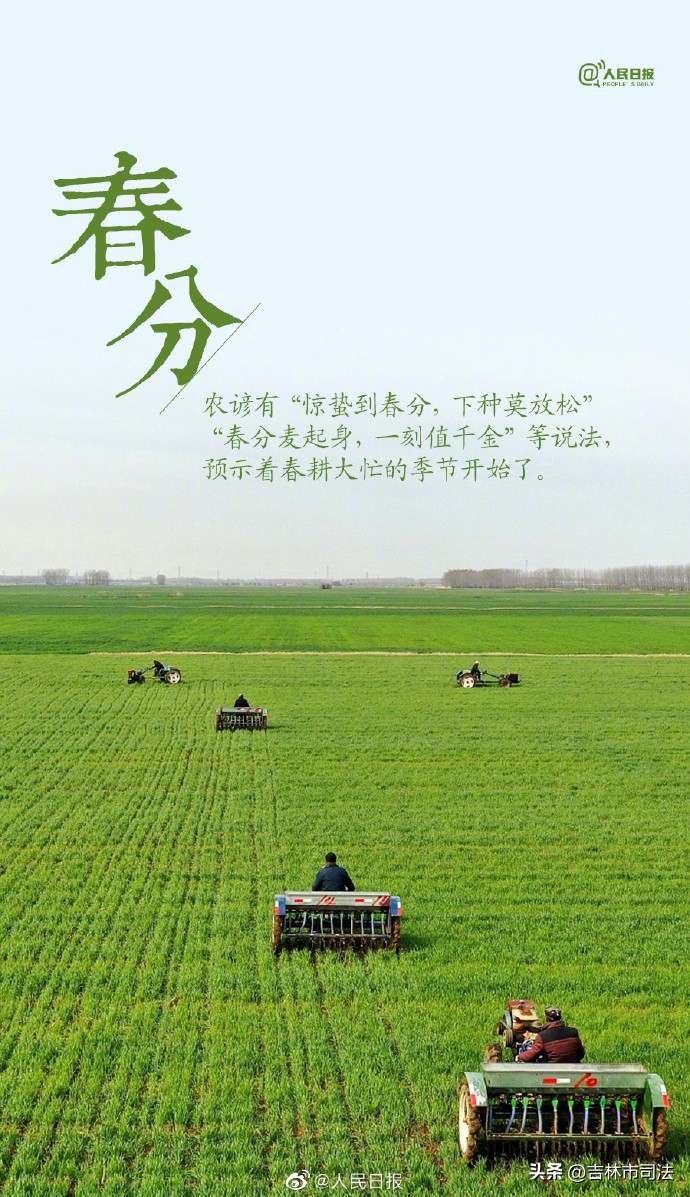 今日春分春暖花开,今日春分不负好春光