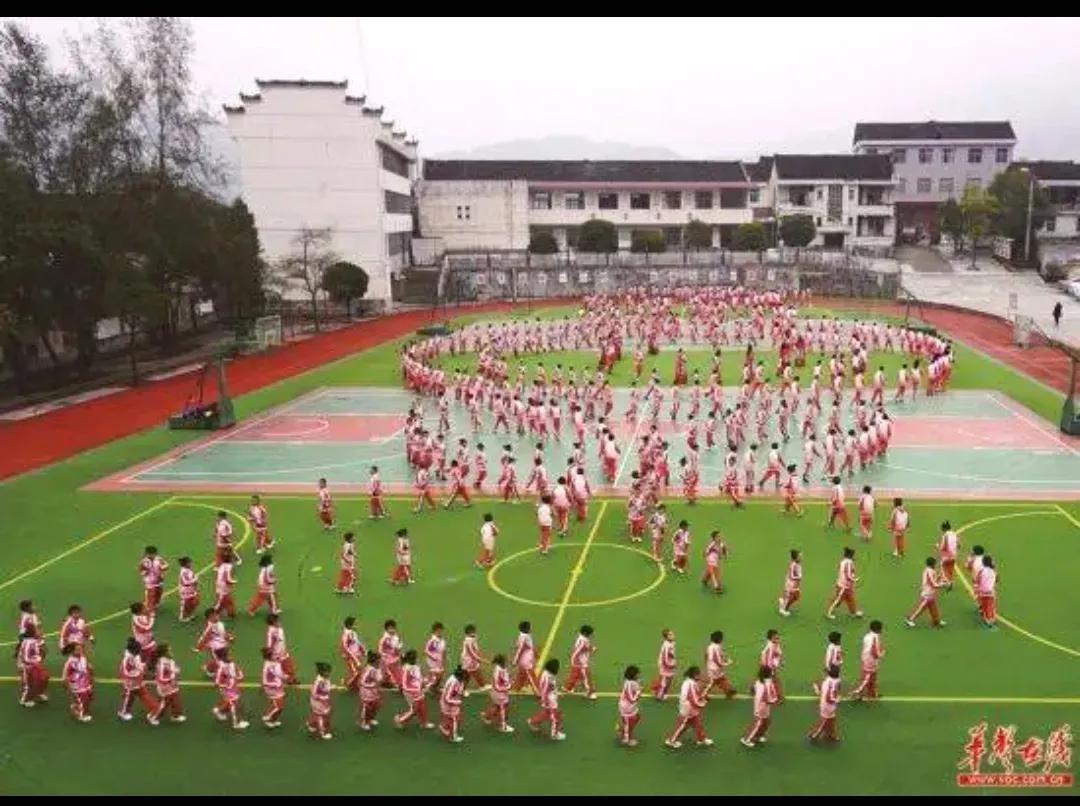 世界杯所给我们带来的感悟,四年一届的世界杯的感慨