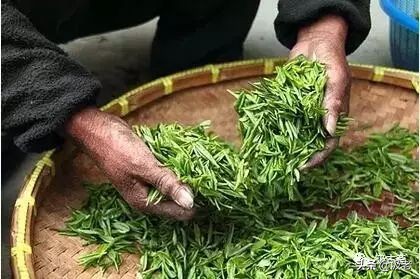 汲古斋视频,汲古斋最新视频