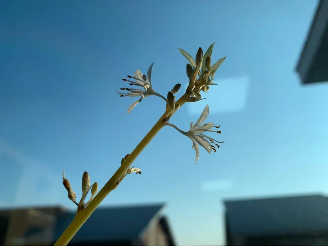 如何成为商务经理,如何成为一名优秀的经理助理