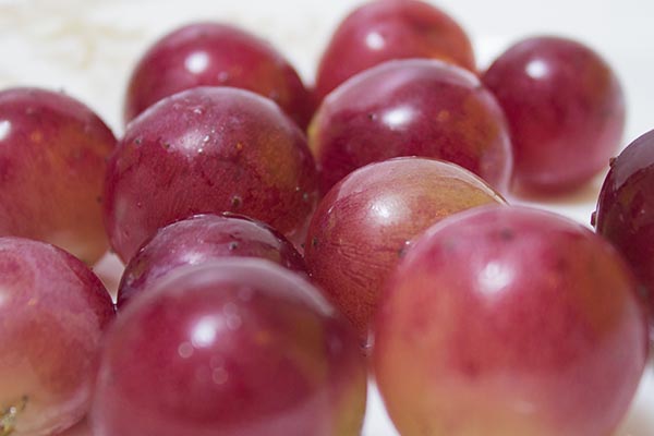 葡萄籽抗癌抗氧化,pcc1从哪种葡萄籽提取的