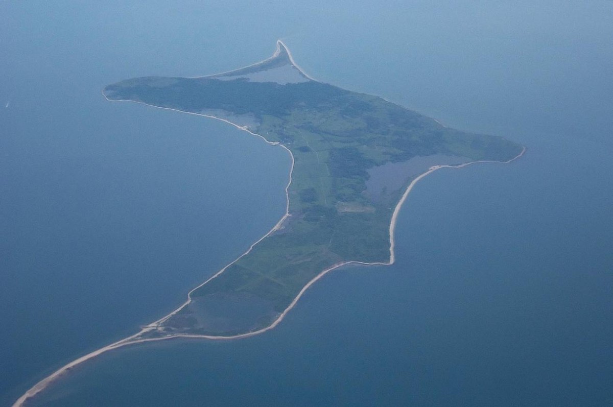 能徒手敲开椰子壳,上树捕杀海鸟,被它夹一下相当于被狮子咬一口