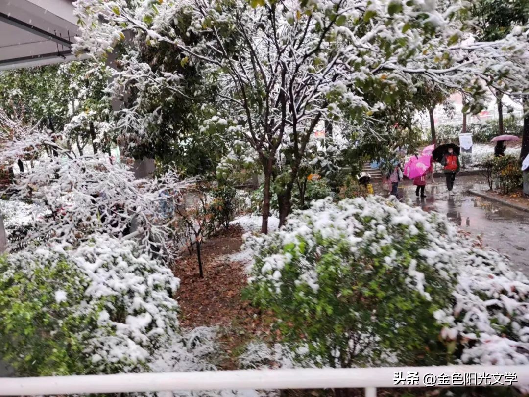 《下春雪啦》《阳台——我的乐园》《足球场——我的乐园》