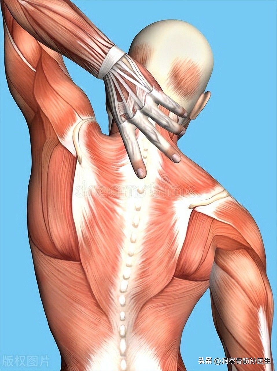 腰不好应该怎么护理,如何改善腰椎胸椎的灵活度