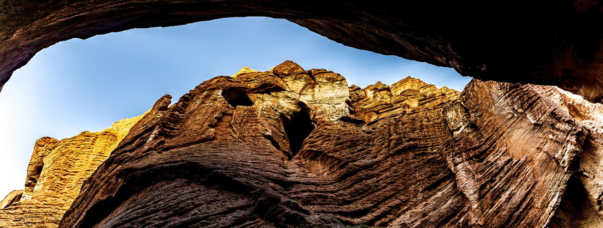 秋天的胡杨林景色宜人,深秋胡杨林的美丽
